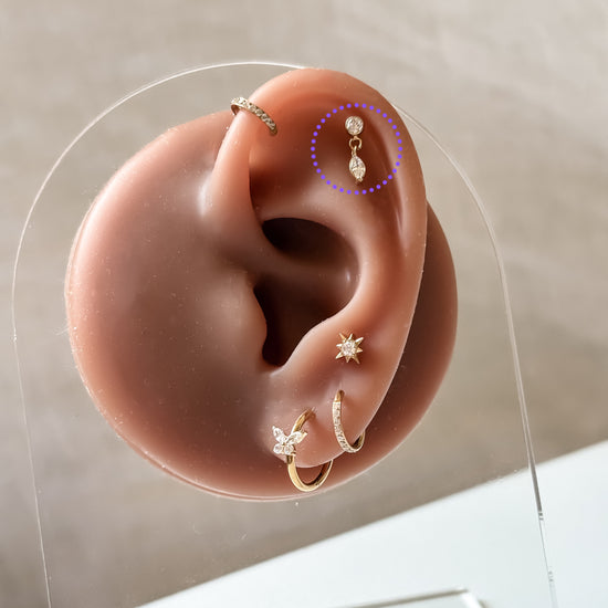 Ear Piercing Ivy -  titanium | gold