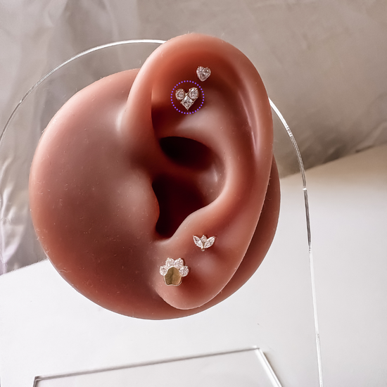 Ear Piercing Cara -  titanium | gold