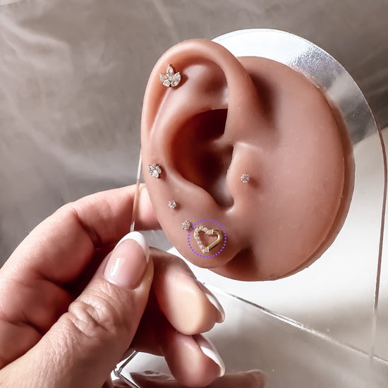 Ear Piercing Amia -  titanium | gold