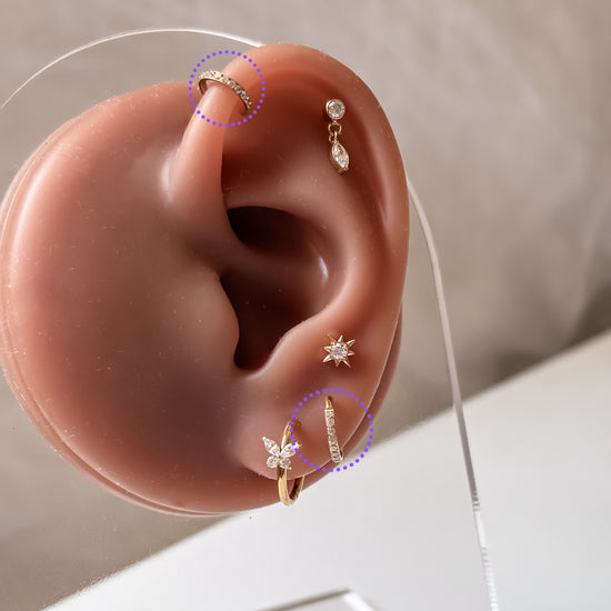 Clicker Piercing Isla -  titanium | gold