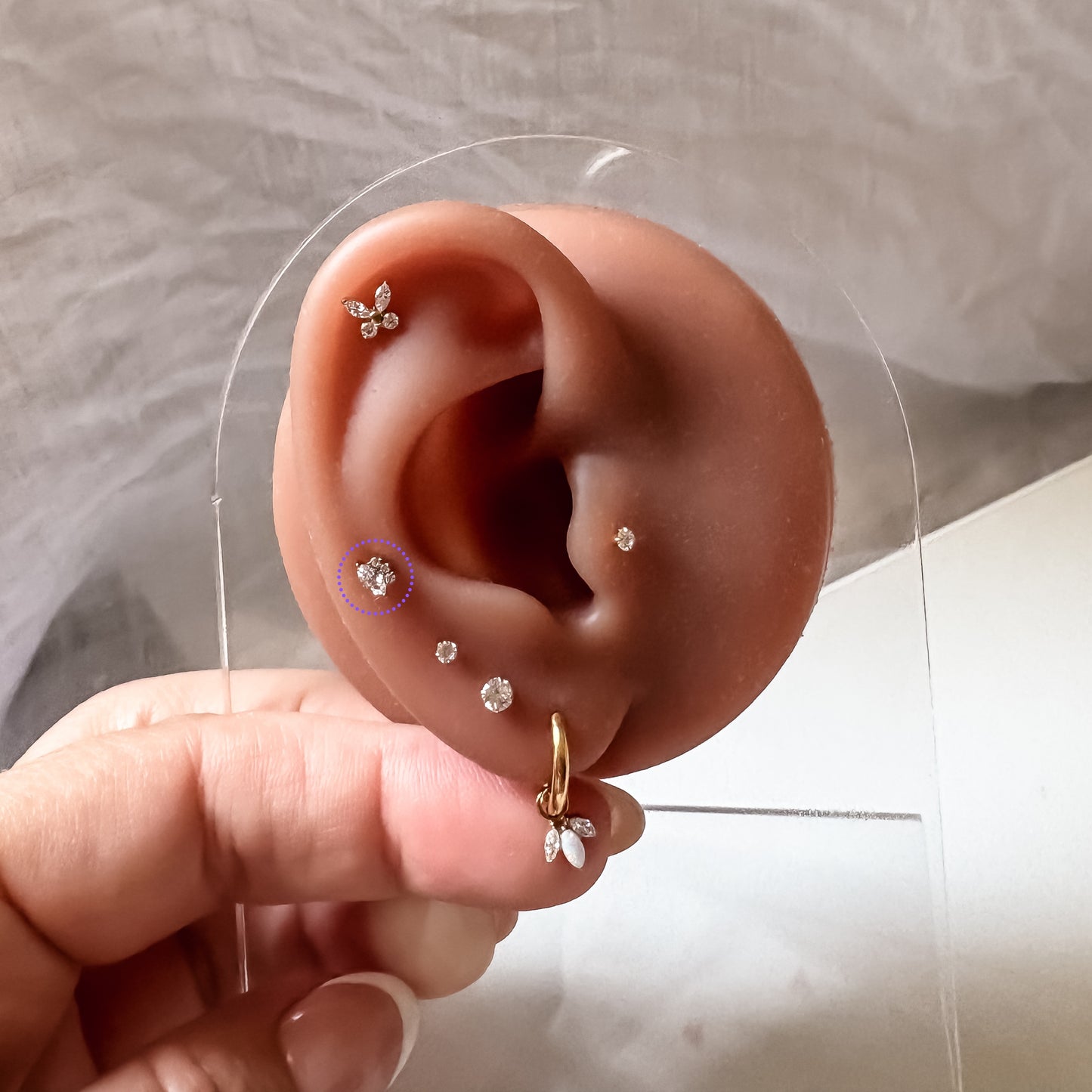 Ear Piercing Vita -  titanium | gold