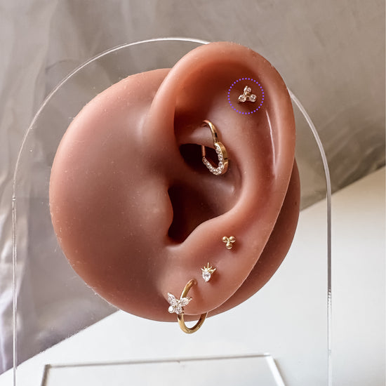 Ear Piercing June -  titanium | gold