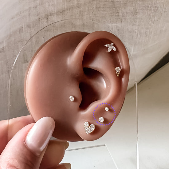 Ear Piercing Nova -  titanium | gold