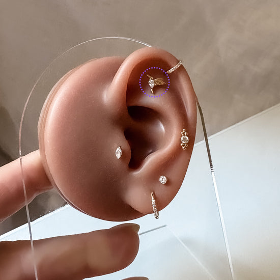 Ear Piercing Hummingbird -  titanium | gold