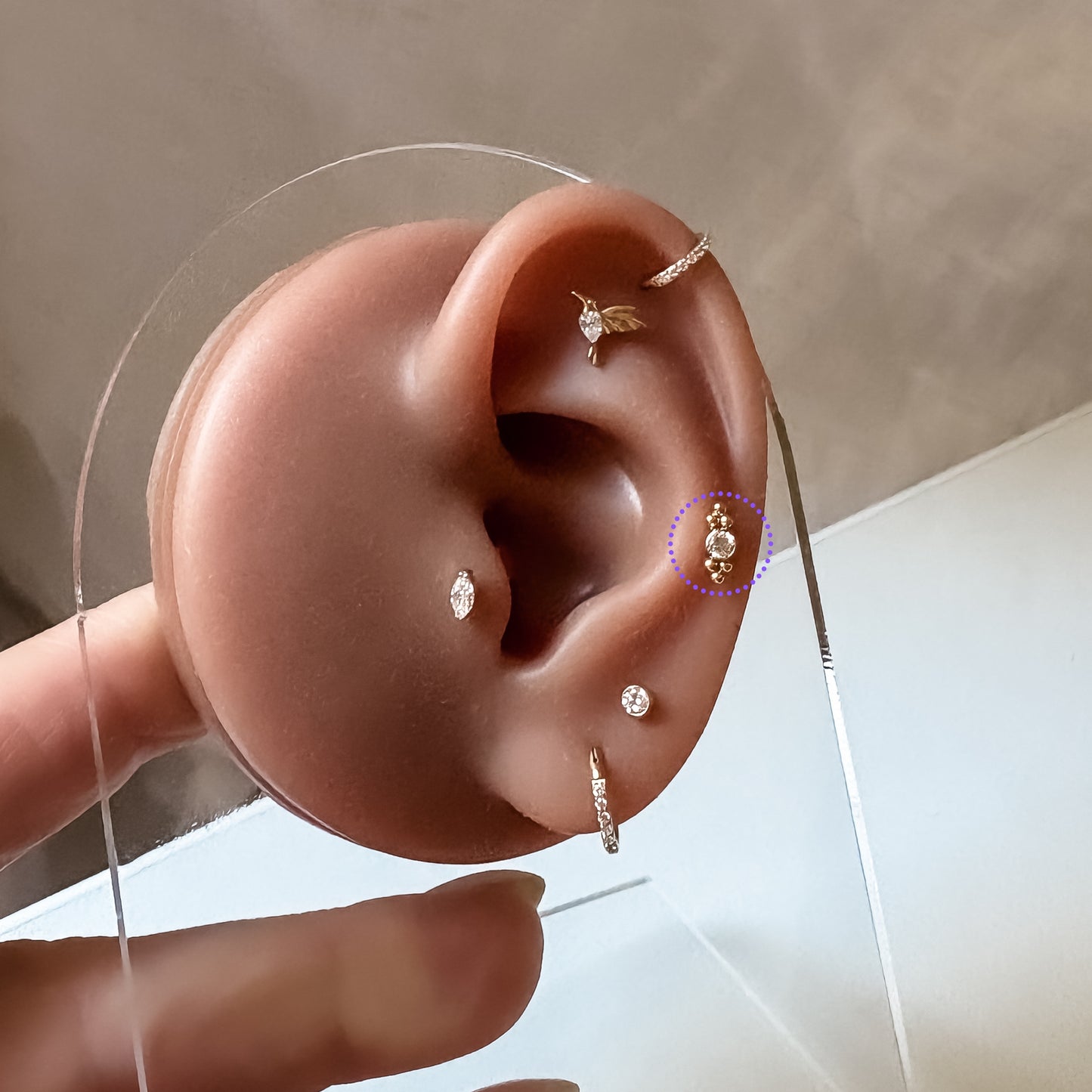 Ear Piercing Lola -  titanium | gold